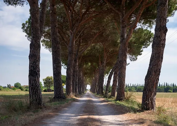 Quercesecca - Nature & Relax 农家乐 格罗塞托港