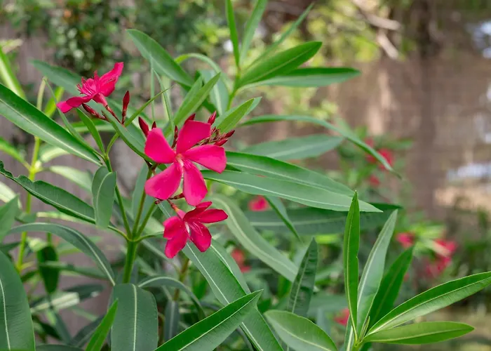 Quercesecca - Nature & Relax * 格罗塞托港