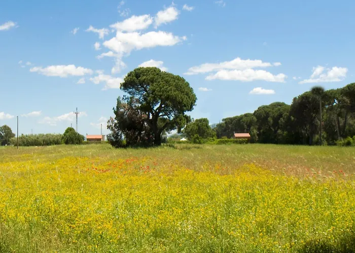 Quercesecca - Nature & Relax 农家乐 *