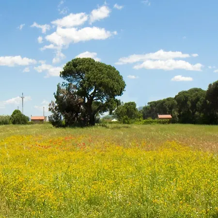 Quercesecca - Nature & Relax Alojamento de Turismo Rural *