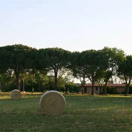 Alojamento de Turismo Rural Quercesecca - Nature & Relax