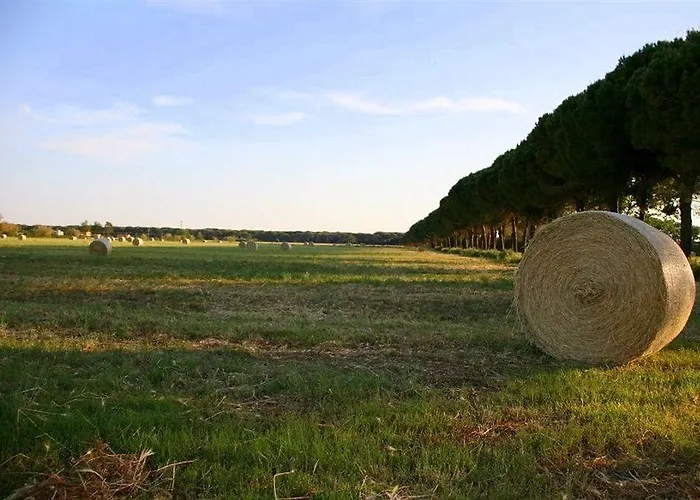Κατάλυμα σε φάρμα Quercesecca - Nature & Relax *