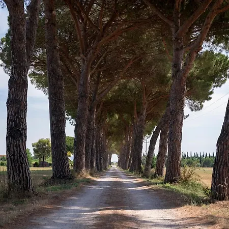 Quercesecca - Nature & Relax Séjour à la ferme Marina di Grosseto