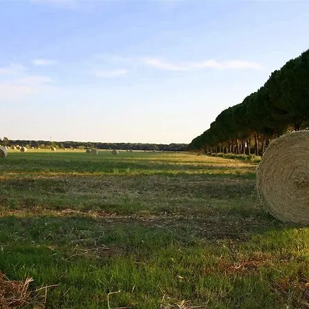 Séjour à la ferme Quercesecca - Nature & Relax *